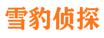 历城寻人公司